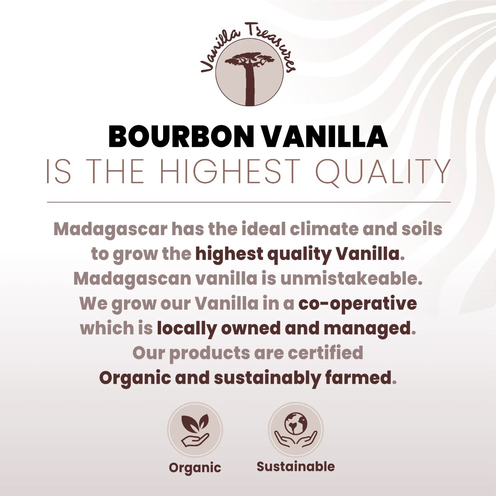 Premium Grade A Organic Madagascan Vanilla Powder – 100% Pure Ground Pods