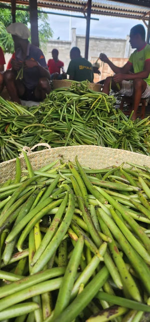 Madagascan Bourbon Organic Vanilla Pods – Grade A