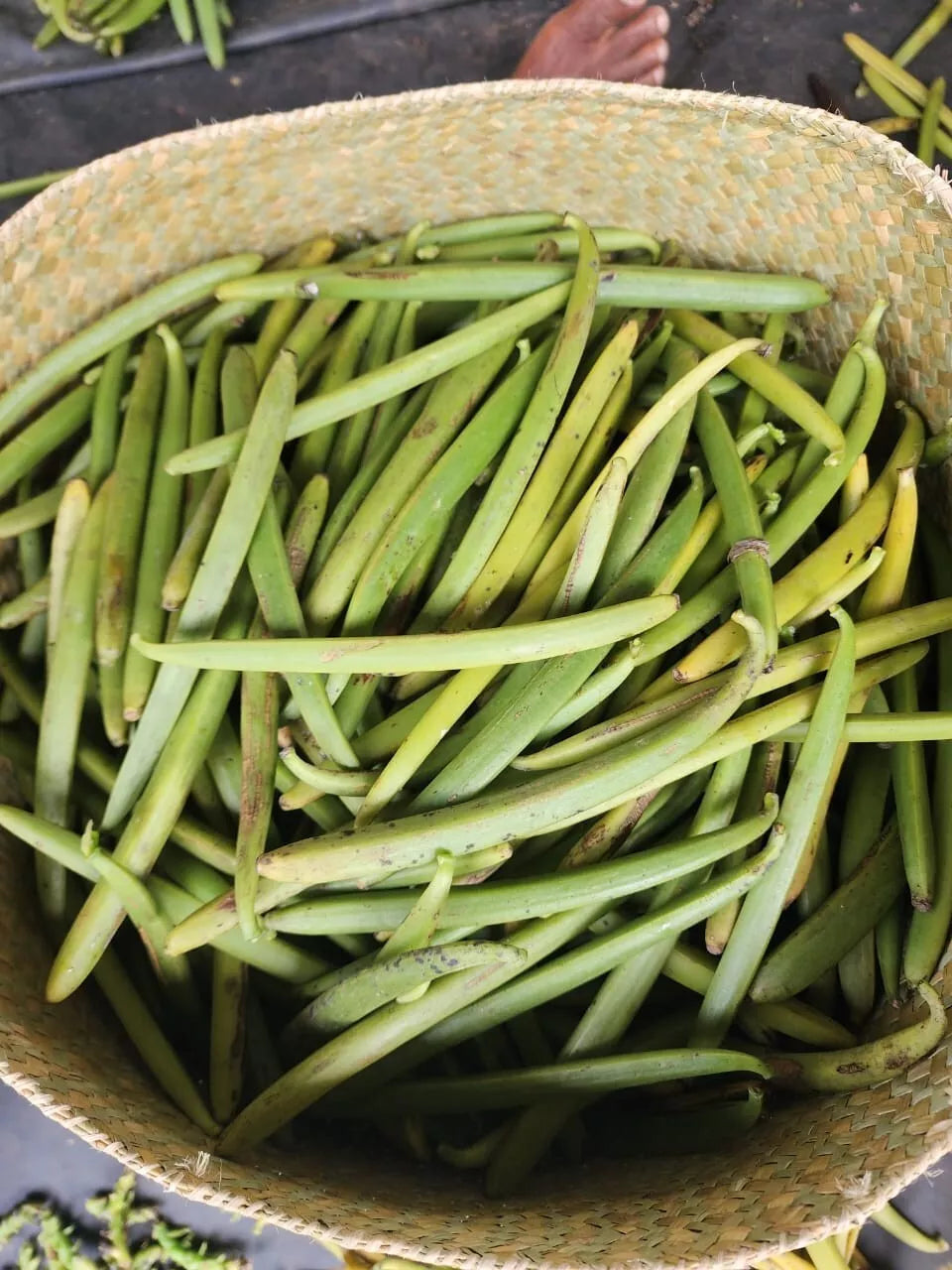 Madagascan Bourbon Organic Vanilla Pods – Grade A