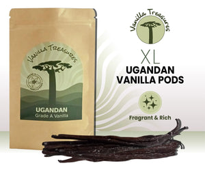Premium Grade A Uganda Vanilla Pods (XL 17–19cm) – Extra Plump & Fragrant